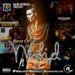 DJ Baddo - Best of Wizkid Mixtape (Old & New Songs Mix)