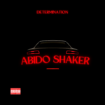 Determination – Abido Shaker