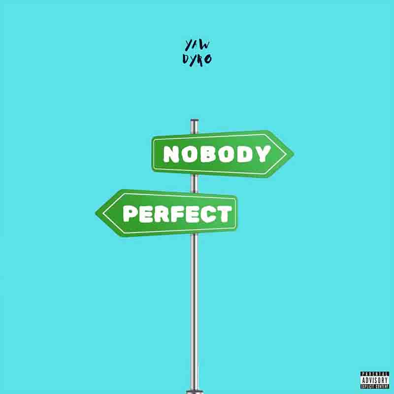 Yaw Dyro - Nobody Perfect