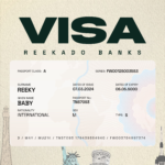 Reekado Banks - Visa